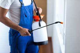 Best Pest Exclusion Services  in Patterson, LA